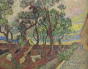 Vincent Van Gogh The Garden of Saint-Paul Hospital (nn04) Spain oil painting artist